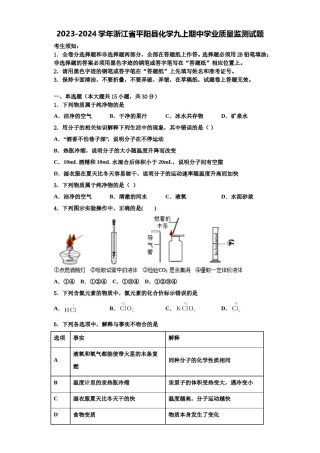 2023-2024学年浙江省平阳县化学九上期中学业质量监测试题含解析.doc
