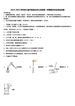 2023-2024学年浙江省平阳县化学九年级第一学期期末综合测试试题含解析.doc