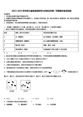 2023-2024学年浙江省德清县联考九年级化学第一学期期末监测试题含解析.doc