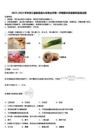 2023-2024学年浙江省新昌县九年级化学第一学期期末质量跟踪监视试题含解析.doc