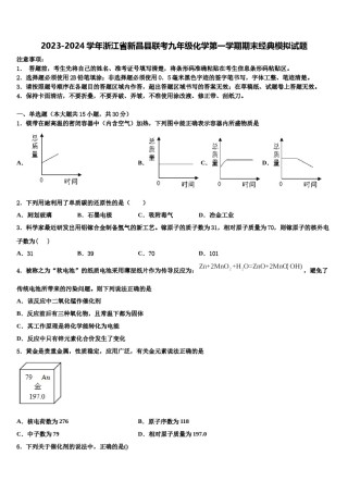 2023-2024学年浙江省新昌县联考九年级化学第一学期期末经典模拟试题含解析.doc