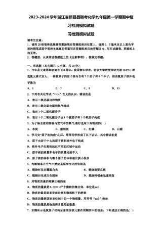 2023-2024学年浙江省新昌县联考化学九年级第一学期期中复习检测模拟试题含解析.doc