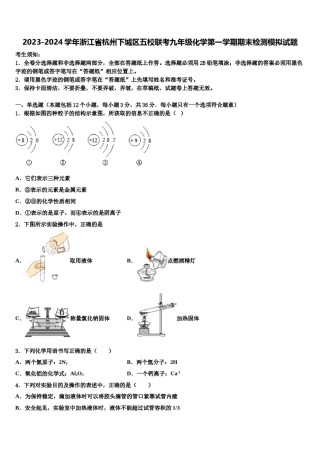 2023-2024学年浙江省杭州下城区五校联考九年级化学第一学期期末检测模拟试题含解析.doc