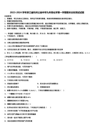 2023-2024学年浙江省杭州公益中学九年级化学第一学期期末达标测试试题含解析.doc