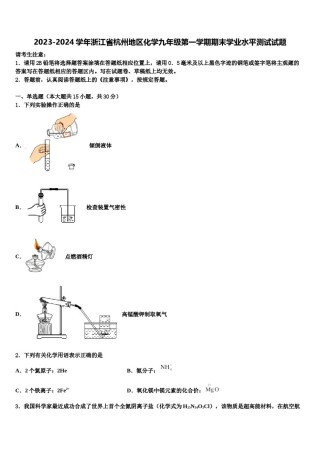 2023-2024学年浙江省杭州地区化学九年级第一学期期末学业水平测试试题含解析.doc
