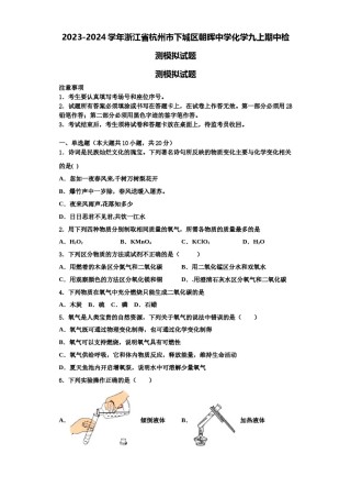 2023-2024学年浙江省杭州市下城区朝晖中学化学九上期中检测模拟试题含解析.doc