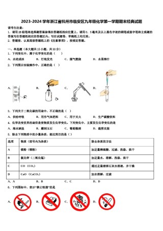 2023-2024学年浙江省杭州市临安区九年级化学第一学期期末经典试题含解析.doc