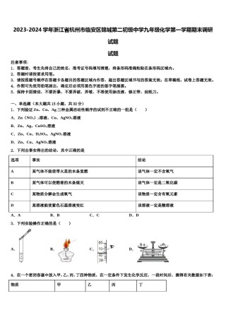 2023-2024学年浙江省杭州市临安区锦城第二初级中学九年级化学第一学期期末调研试题含解析.doc