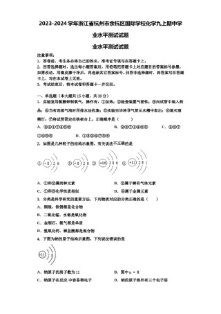2023-2024学年浙江省杭州市余杭区国际学校化学九上期中学业水平测试试题含解析.doc