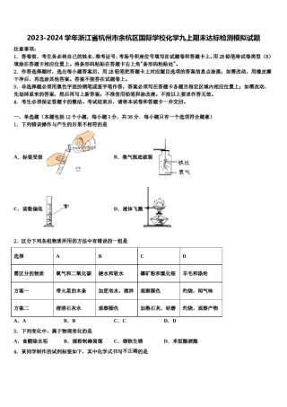 2023-2024学年浙江省杭州市余杭区国际学校化学九上期末达标检测模拟试题含解析.doc