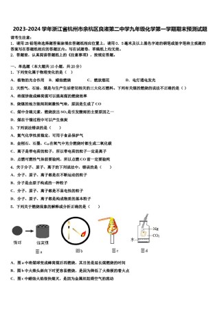 2023-2024学年浙江省杭州市余杭区良渚第二中学九年级化学第一学期期末预测试题含解析.doc