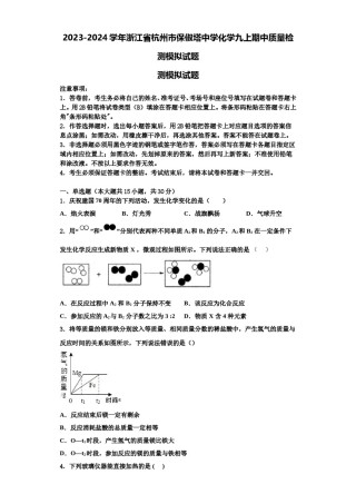 2023-2024学年浙江省杭州市保俶塔中学化学九上期中质量检测模拟试题含解析.doc