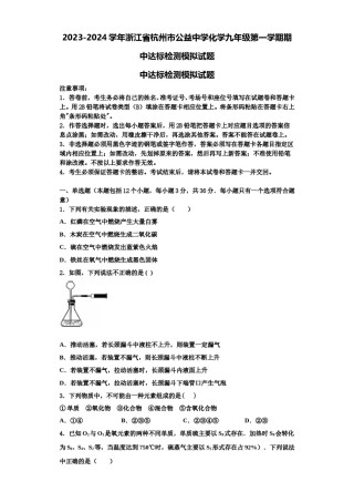 2023-2024学年浙江省杭州市公益中学化学九年级第一学期期中达标检测模拟试题含解析.doc