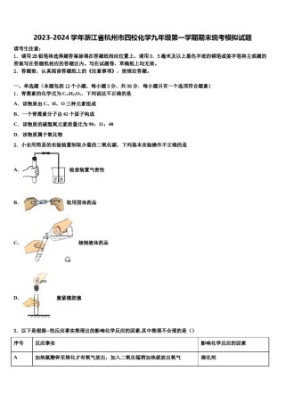 2023-2024学年浙江省杭州市四校化学九年级第一学期期末统考模拟试题含解析.doc