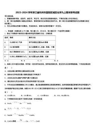 2023-2024学年浙江省杭州市富阳区城区化学九上期末联考试题含解析.doc