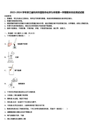 2023-2024学年浙江省杭州市富阳市化学九年级第一学期期末综合测试试题含解析.doc