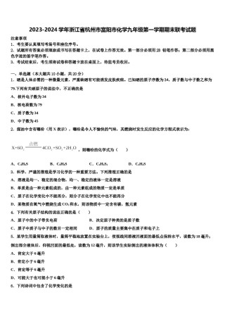 2023-2024学年浙江省杭州市富阳市化学九年级第一学期期末联考试题含解析.doc