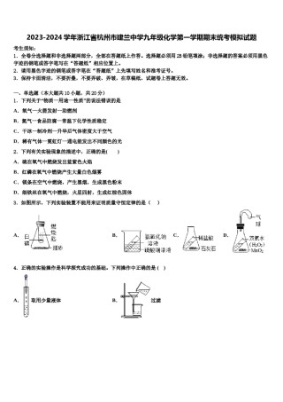 2023-2024学年浙江省杭州市建兰中学九年级化学第一学期期末统考模拟试题含解析.doc