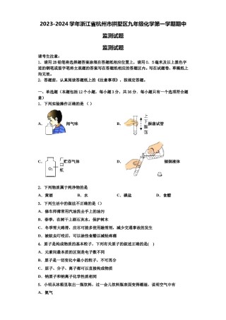 2023-2024学年浙江省杭州市拱墅区九年级化学第一学期期中监测试题含解析.doc