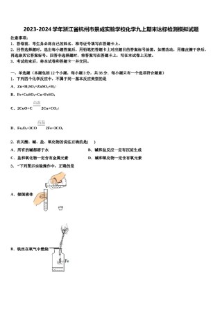2023-2024学年浙江省杭州市景成实验学校化学九上期末达标检测模拟试题含解析.doc