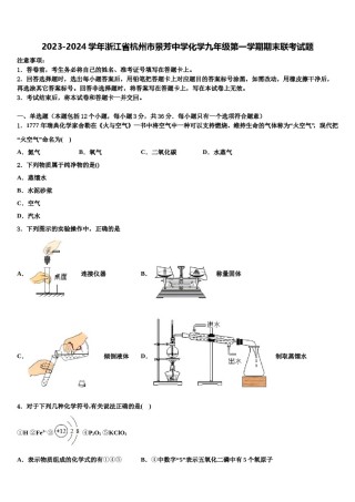 2023-2024学年浙江省杭州市景芳中学化学九年级第一学期期末联考试题含解析.doc