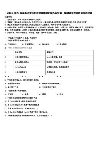 2023-2024学年浙江省杭州市朝晖中学化学九年级第一学期期末教学质量检测试题含解析.doc