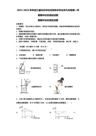 2023-2024学年浙江省杭州市杭州风帆中学化学九年级第一学期期中达标测试试题含解析.doc