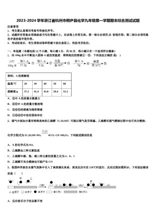 2023-2024学年浙江省杭州市桐庐县化学九年级第一学期期末综合测试试题含解析.doc