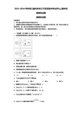 2023-2024学年浙江省杭州市江干区实验中学化学九上期中经典模拟试题含解析.doc