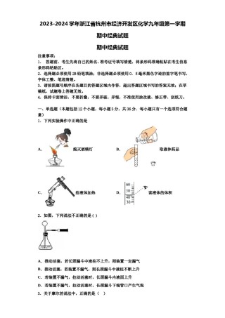 2023-2024学年浙江省杭州市经济开发区化学九年级第一学期期中经典试题含解析.doc