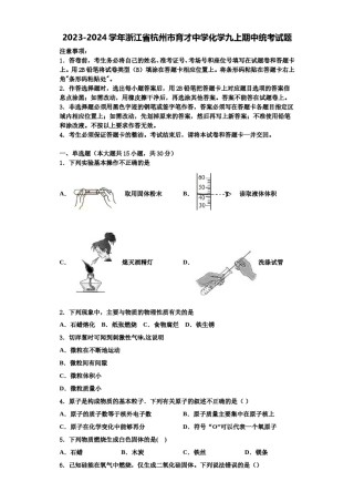 2023-2024学年浙江省杭州市育才中学化学九上期中统考试题含解析.doc