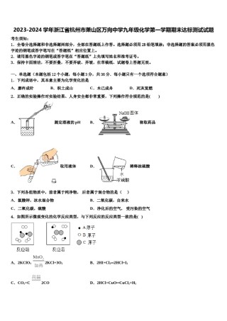 2023-2024学年浙江省杭州市萧山区万向中学九年级化学第一学期期末达标测试试题含解析.doc