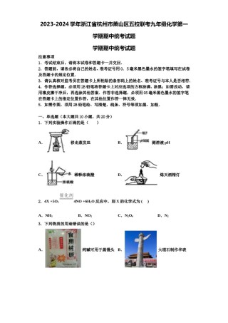 2023-2024学年浙江省杭州市萧山区五校联考九年级化学第一学期期中统考试题含解析.doc