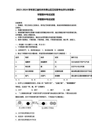 2023-2024学年浙江省杭州市萧山区五校联考化学九年级第一学期期中考试试题含解析.doc