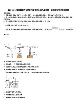 2023-2024学年浙江省杭州市萧山区化学九年级第一学期期末考试模拟试题含解析.doc