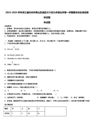 2023-2024学年浙江省杭州市萧山区城区片六校九年级化学第一学期期末综合测试模拟试题含解析.doc