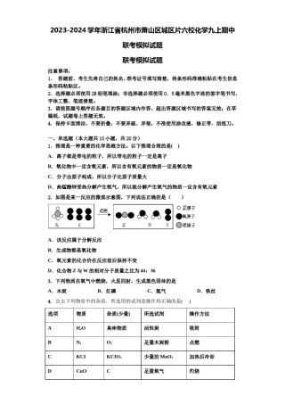 2023-2024学年浙江省杭州市萧山区城区片六校化学九上期中联考模拟试题含解析.doc