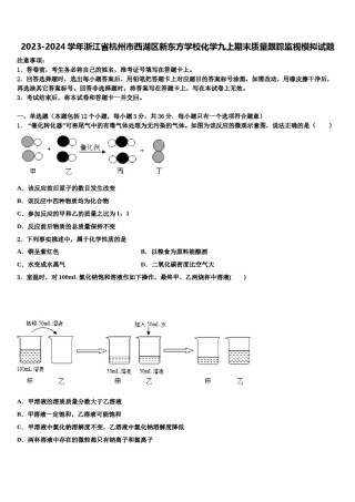 2023-2024学年浙江省杭州市西湖区新东方学校化学九上期末质量跟踪监视模拟试题含解析.doc