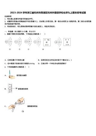 2023-2024学年浙江省杭州市西湖区杭州外国语学校化学九上期末统考试题含解析.doc