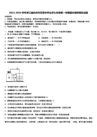 2023-2024学年浙江省杭州市采荷中学化学九年级第一学期期末调研模拟试题含解析.doc