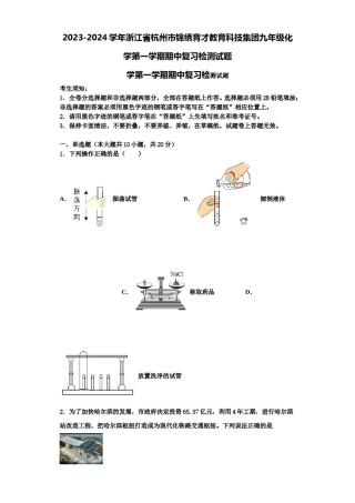 2023-2024学年浙江省杭州市锦绣育才教育科技集团九年级化学第一学期期中复习检测试题含解析.doc