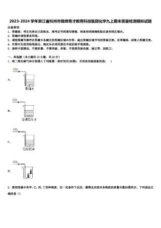 2023-2024学年浙江省杭州市锦绣育才教育科技集团化学九上期末质量检测模拟试题含解析.doc
