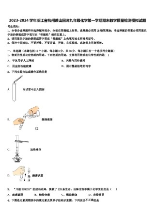 2023-2024学年浙江省杭州萧山回澜九年级化学第一学期期末教学质量检测模拟试题含解析.doc