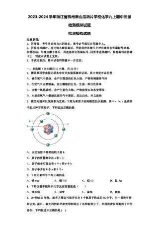 2023-2024学年浙江省杭州萧山瓜沥片学校化学九上期中质量检测模拟试题含解析.doc