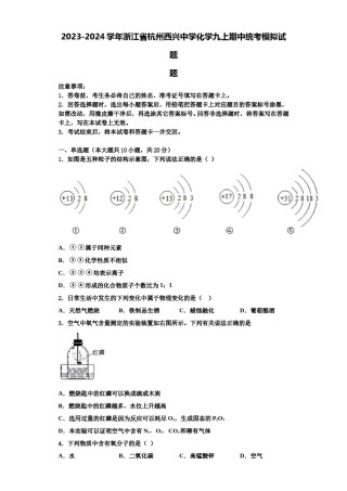 2023-2024学年浙江省杭州西兴中学化学九上期中统考模拟试题含解析.doc