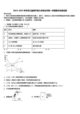 2023-2024学年浙江省桐庐县九年级化学第一学期期末经典试题含解析.doc