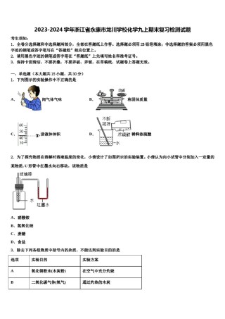 2023-2024学年浙江省永康市龙川学校化学九上期末复习检测试题含解析.doc