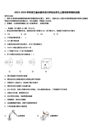 2023-2024学年浙江省永康市龙川学校化学九上期末联考模拟试题含解析.doc