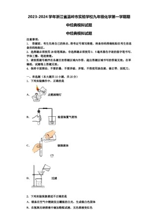 2023-2024学年浙江省温岭市实验学校九年级化学第一学期期中经典模拟试题含解析.doc