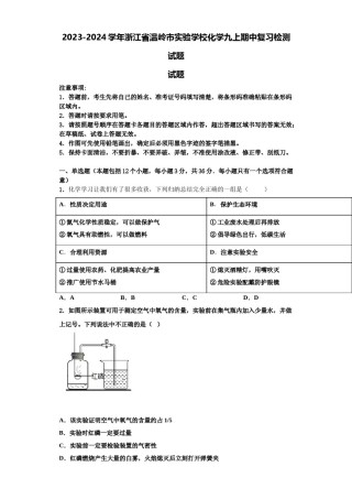 2023-2024学年浙江省温岭市实验学校化学九上期中复习检测试题含解析.doc
